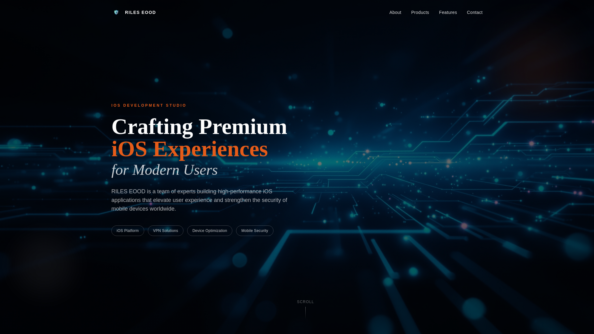 website screenshot of https://rileseood.com