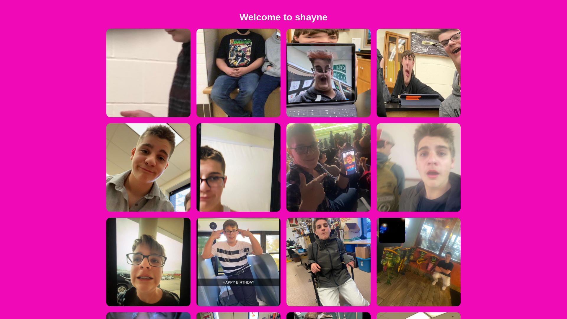 website screenshot of https://shaynehowlett.com/