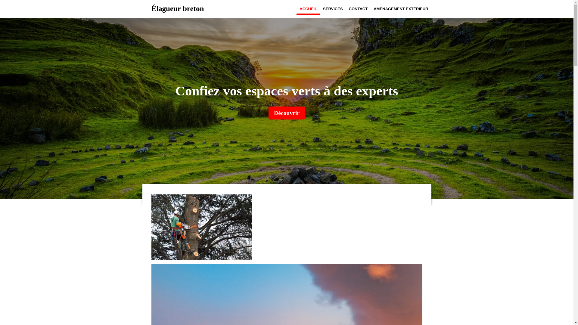 website screenshot of https://elagueurbreton.fr/