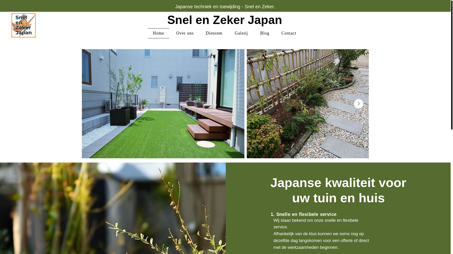 website screenshot of https://snelenzekerjp.com/
