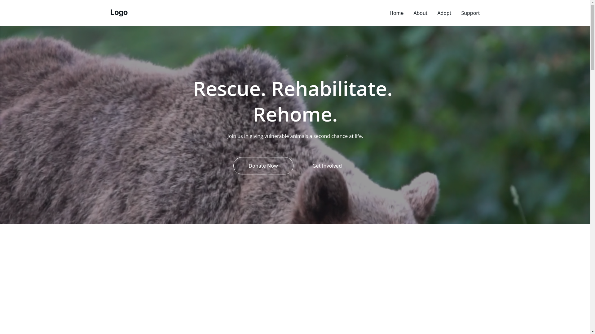 website screenshot of https://strayanimalsanctuarykampala.org/