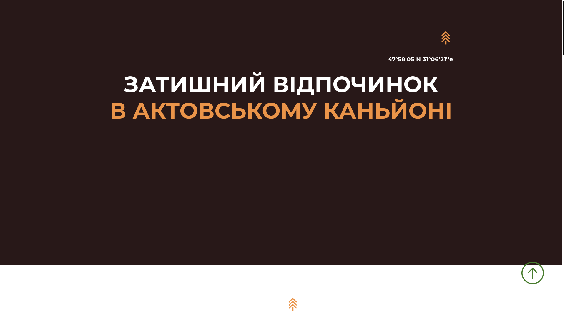 website screenshot of https://aktove.com.ua/
