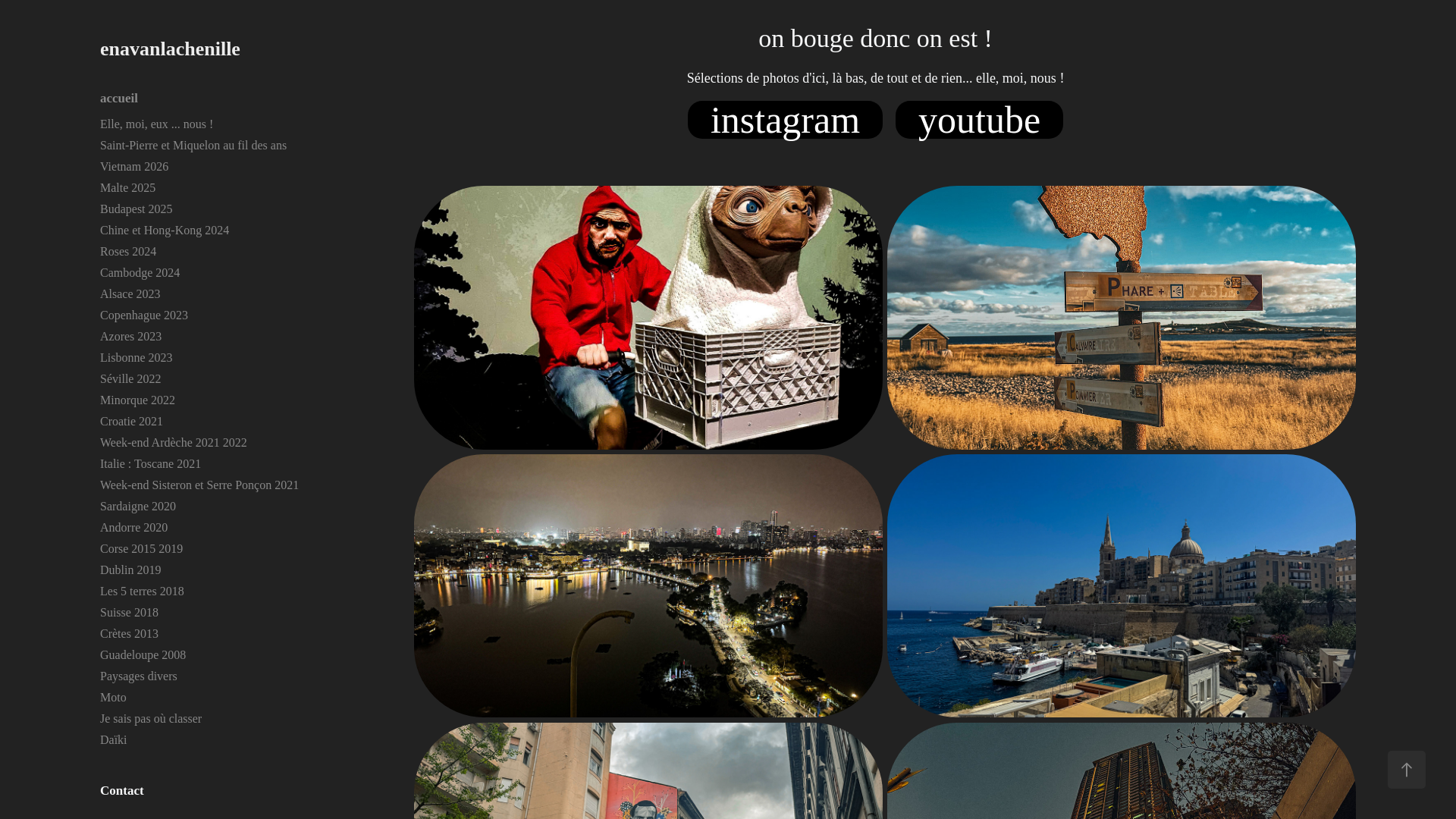 website screenshot of https://enavanlachenille.com/