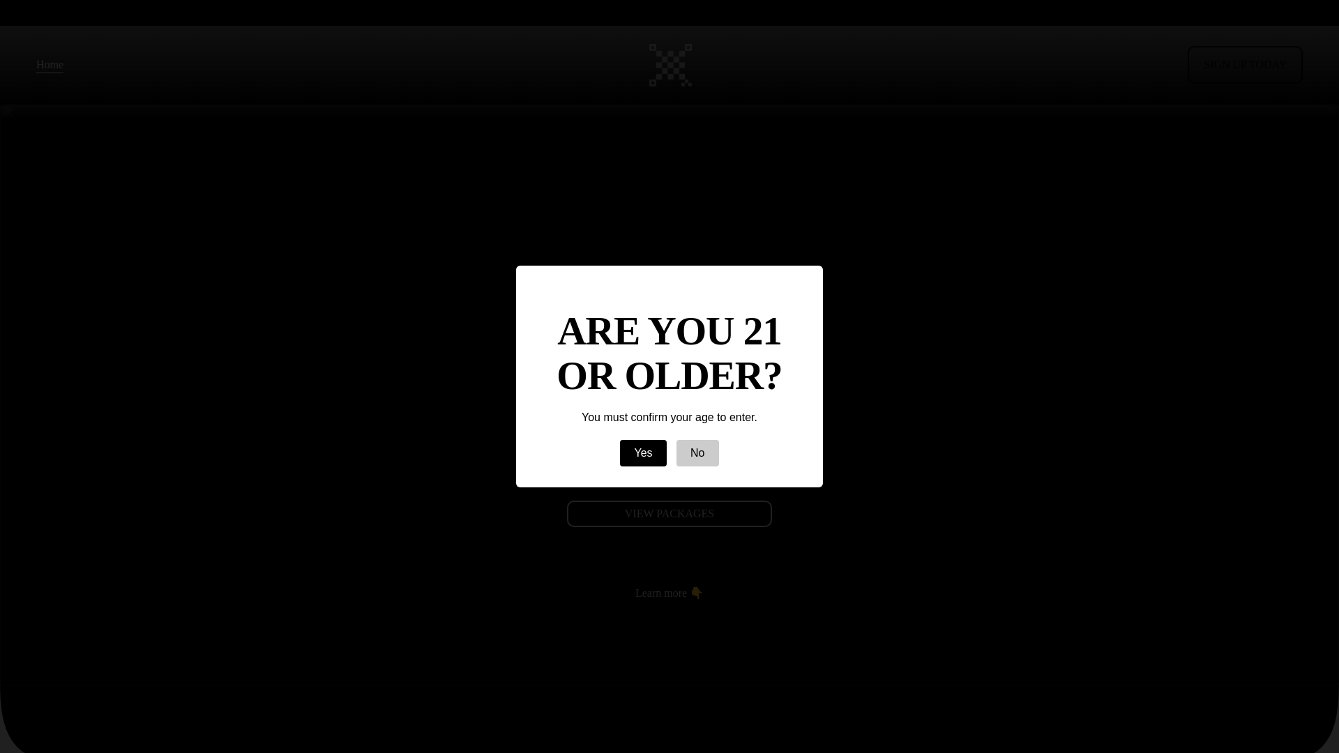 website screenshot of https://mteklife.com