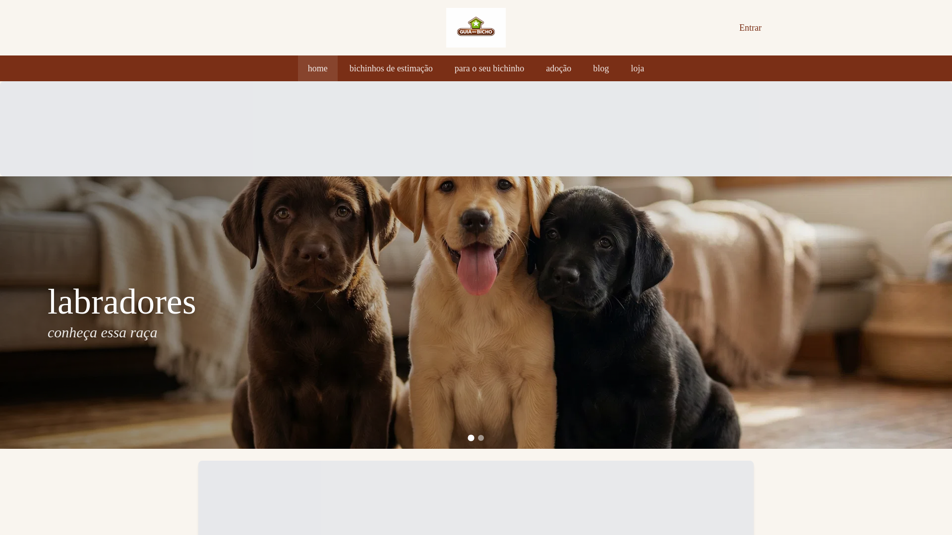 website screenshot of https://guiabicho.com/