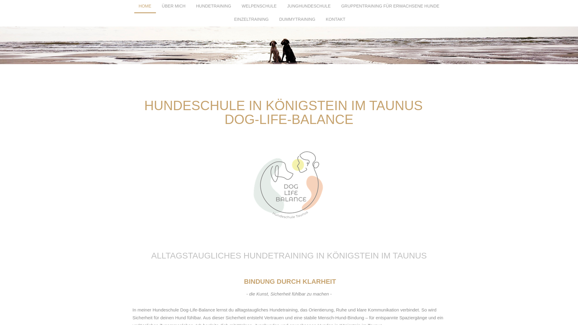 website screenshot of https://doglifebalance-taunus.de