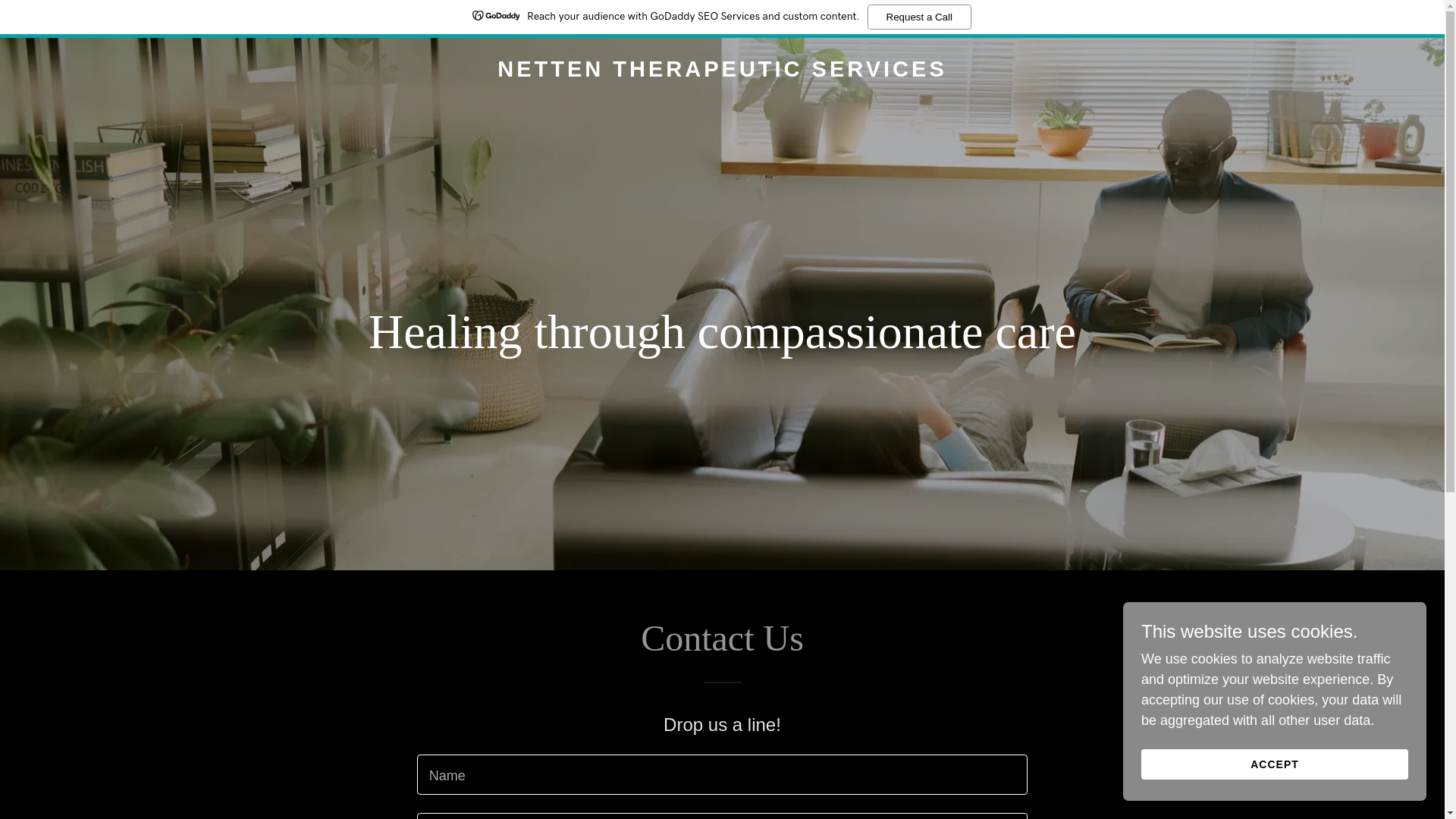 website screenshot of https://nettentherapeuticservices.org/