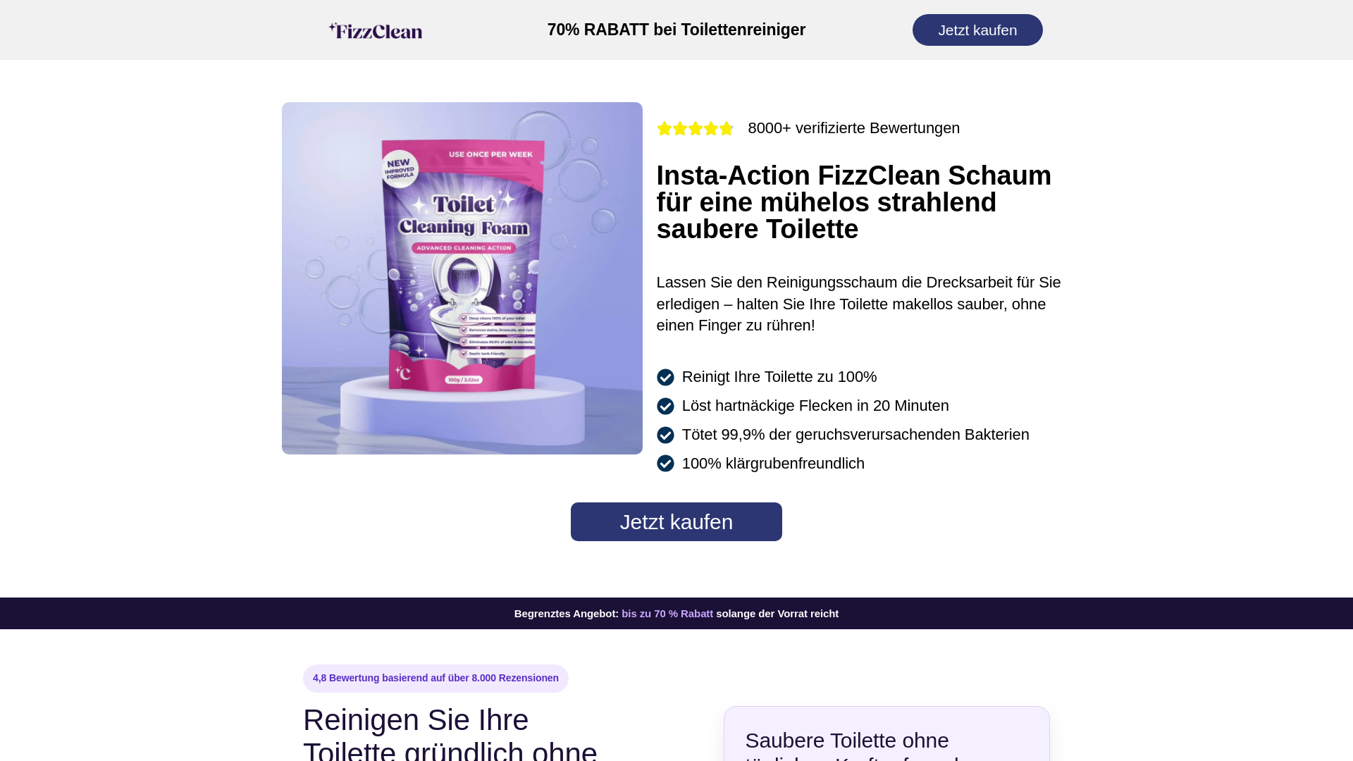 website screenshot of https://toilettenreiniger.com/