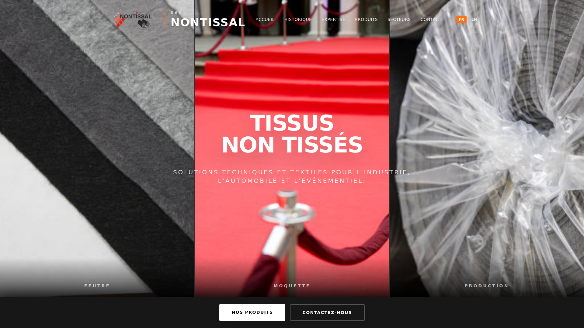 website screenshot of https://nontissal.dz