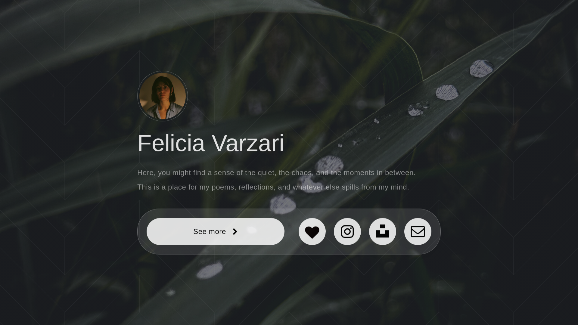 website screenshot of https://feliciavarzari.com/