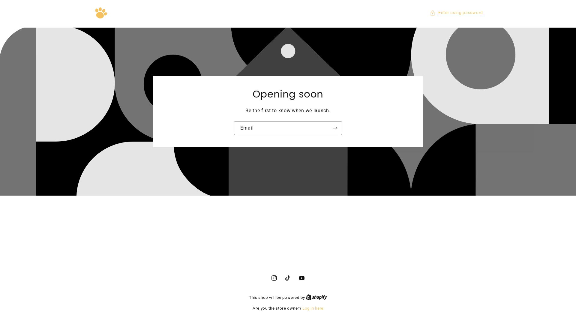 website screenshot of https://happylittlelives.store/