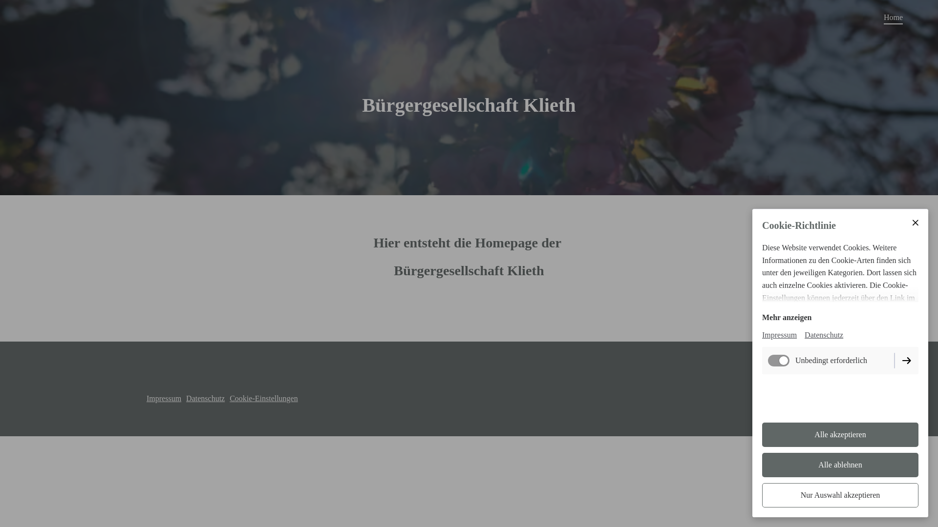 website screenshot of https://bg-klieth.de