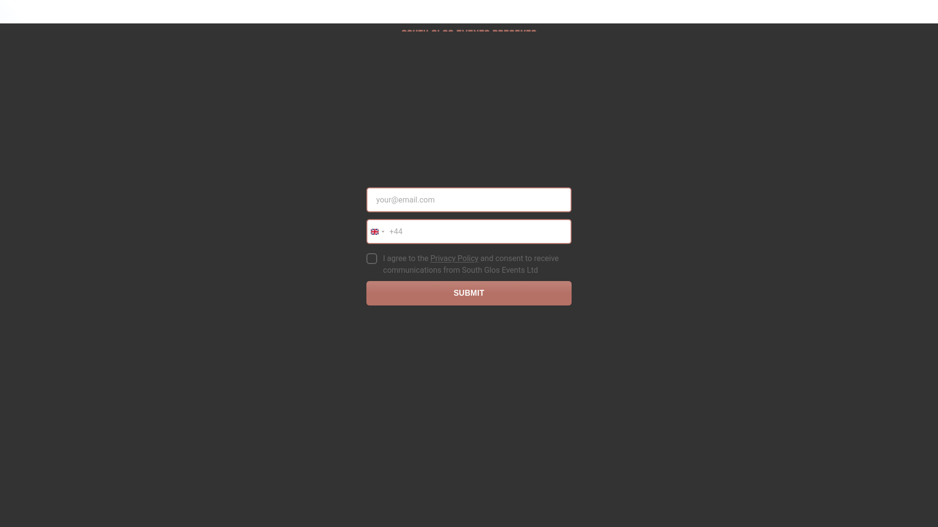 website screenshot of https://rollingstonestributebristol.co.uk/