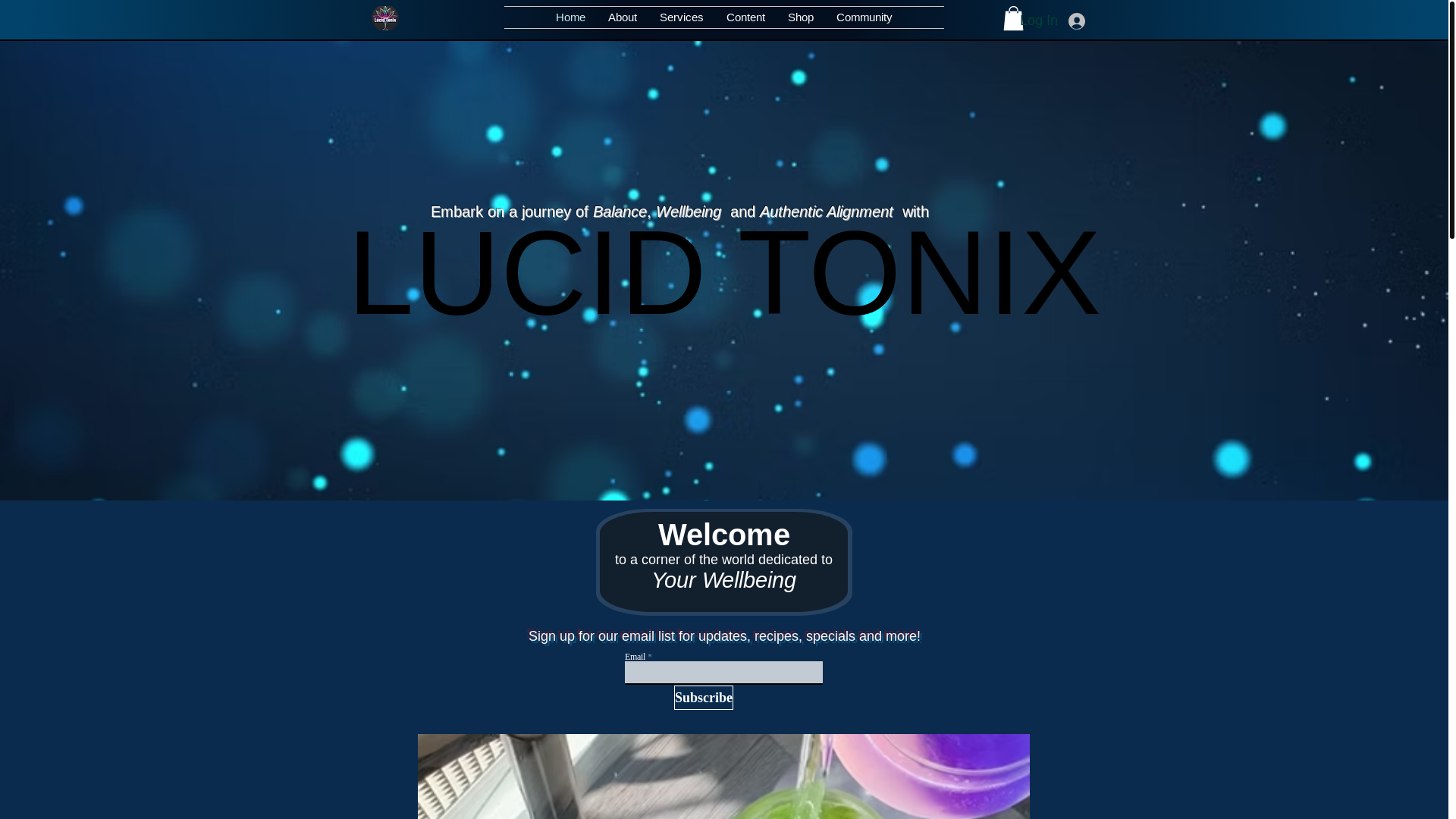 website screenshot of https://holisticshay.com/