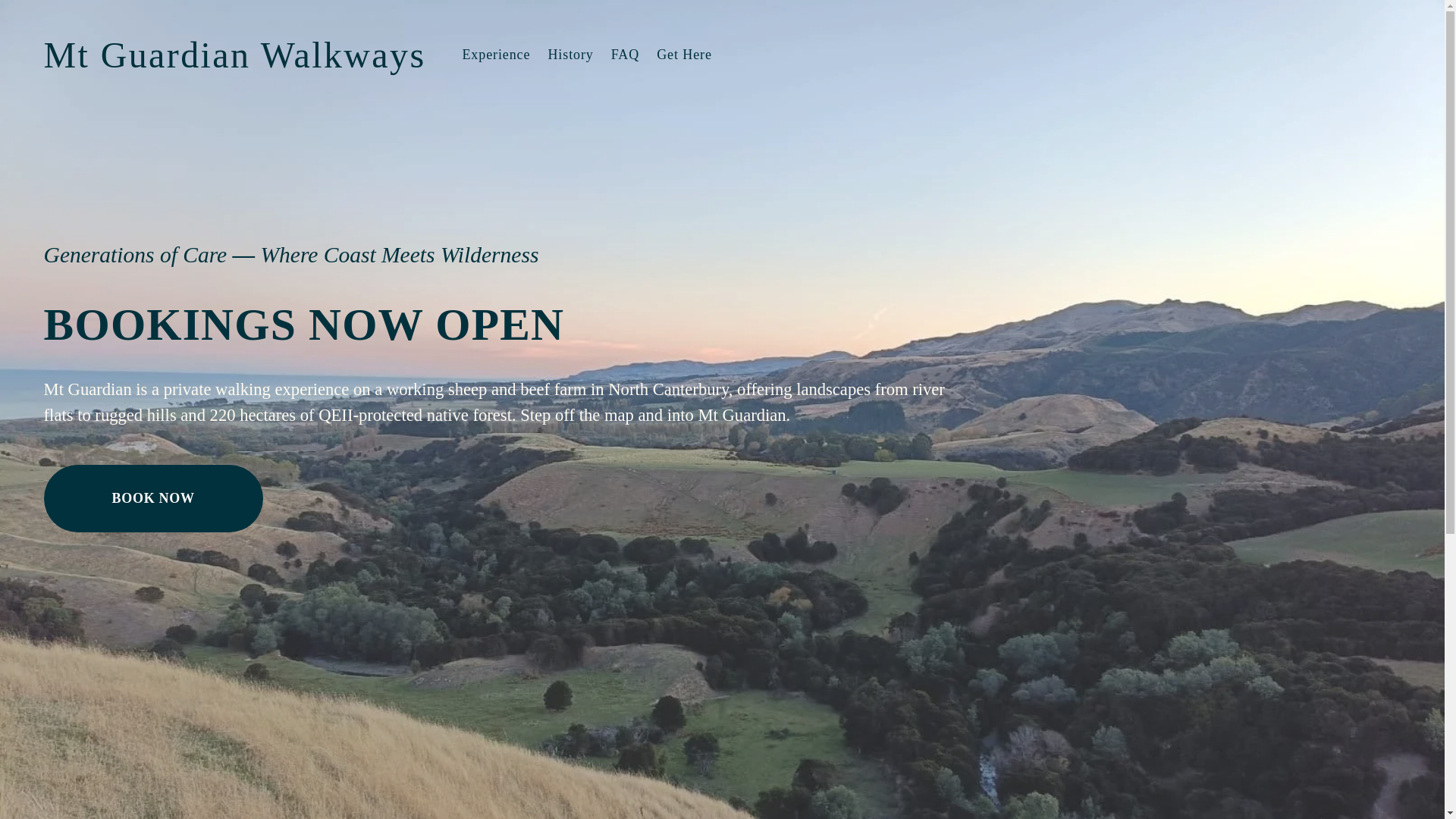 website screenshot of https://mtguardianwalkways.com/