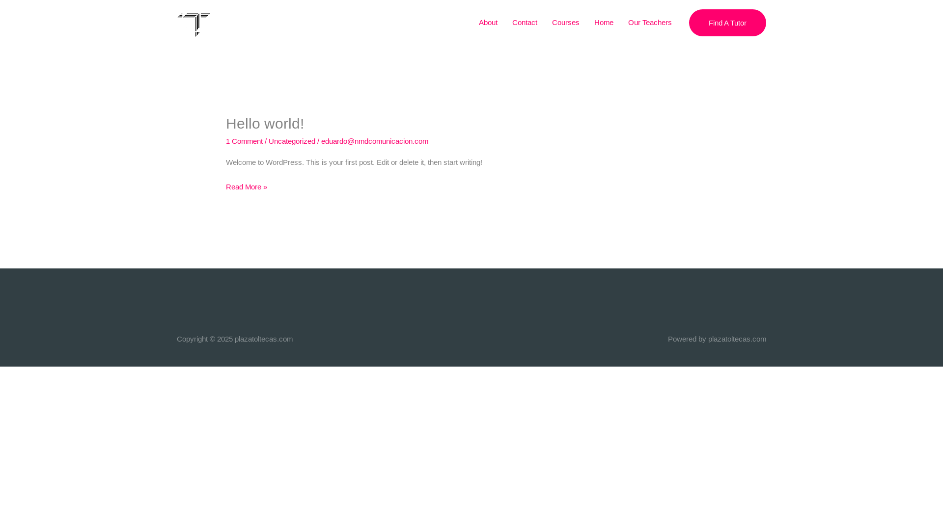 website screenshot of https://plazatoltecas.com/