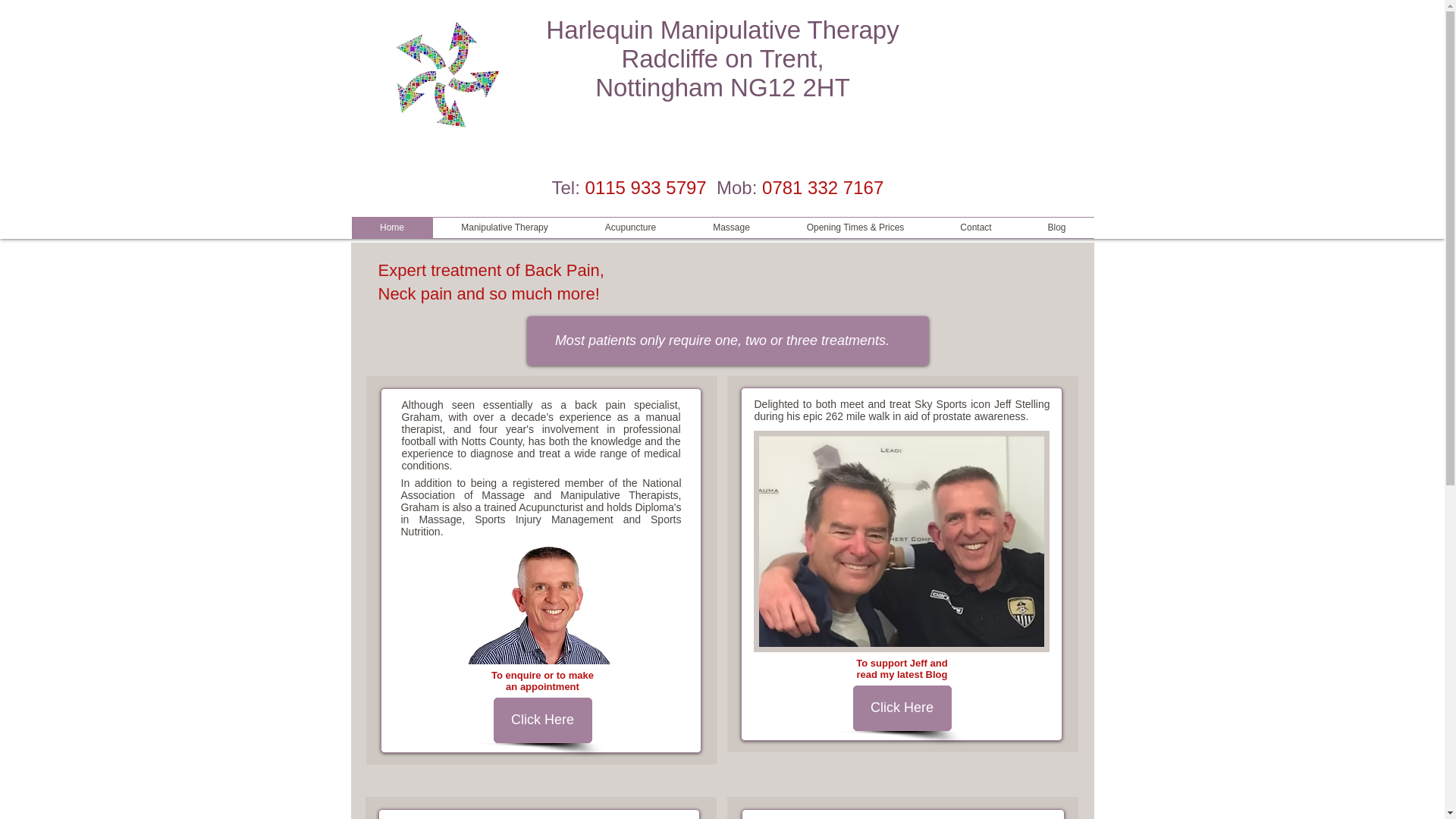 website screenshot of https://harlequinmt.co.uk/