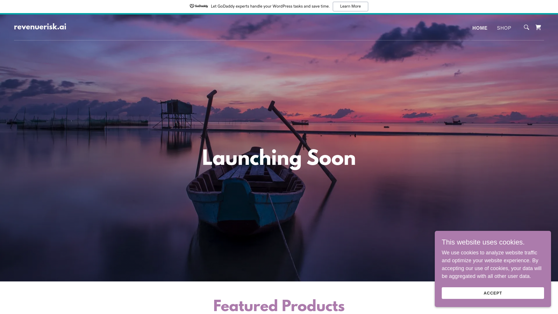 website screenshot of https://revenuerisk.ai/
