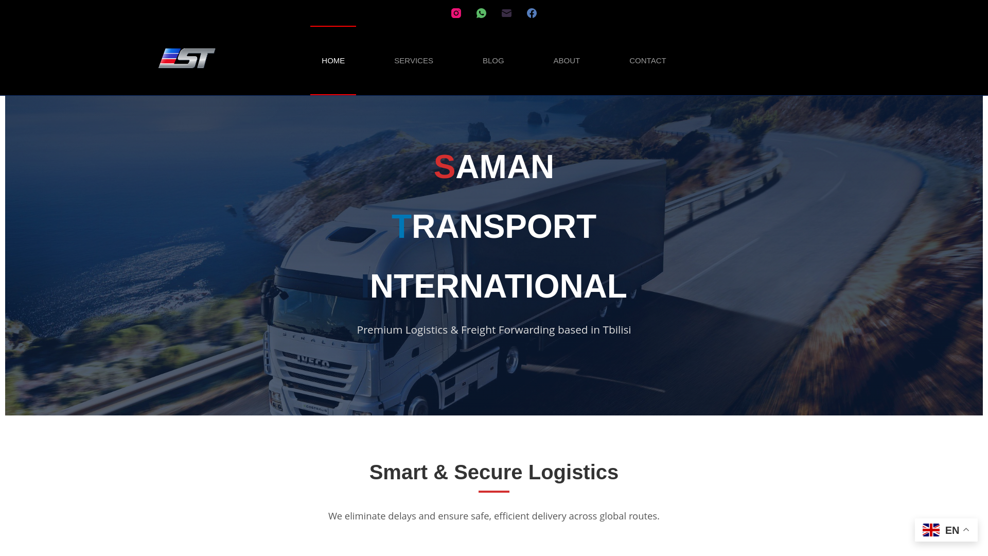 website screenshot of https://stigeorgia.com