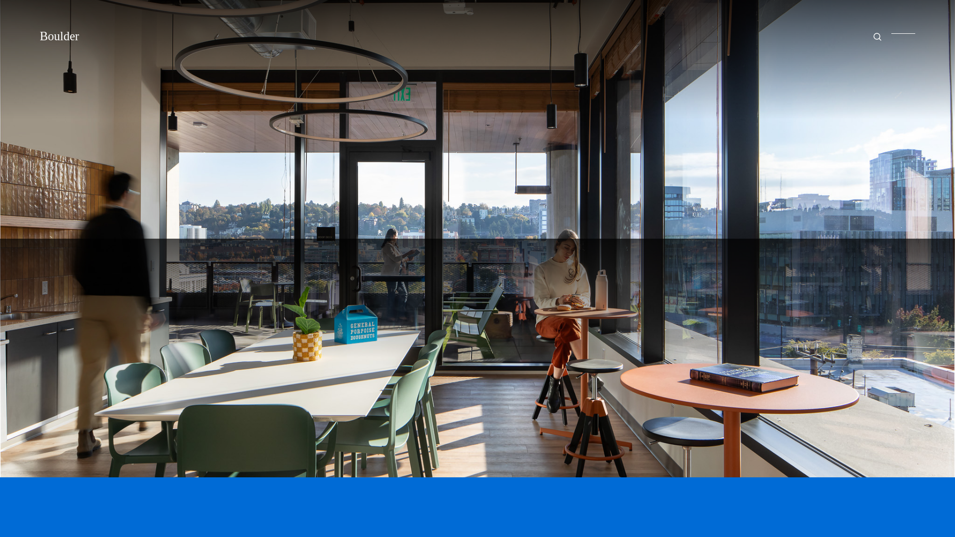 website screenshot of https://bldr-search-demo.pages.dev/