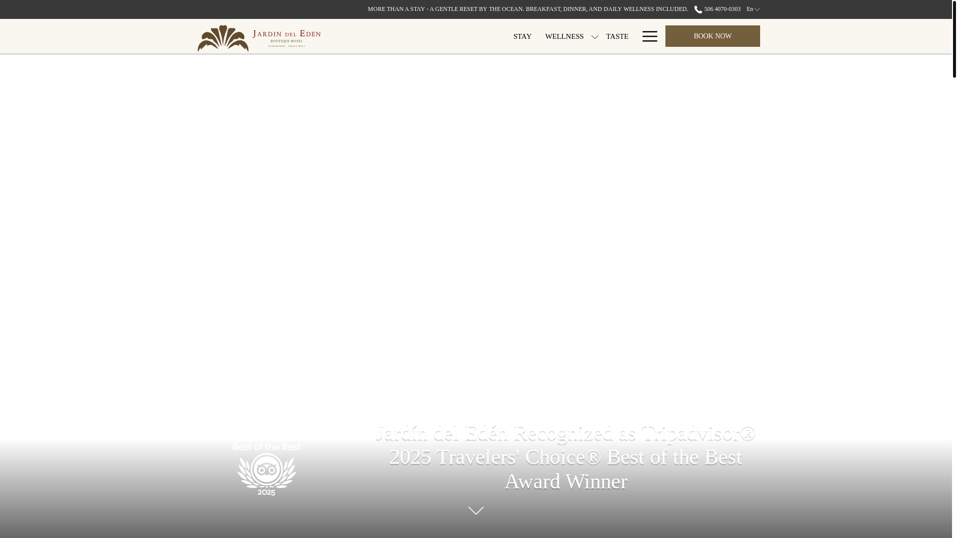 website screenshot of https://jardindeleden.com/