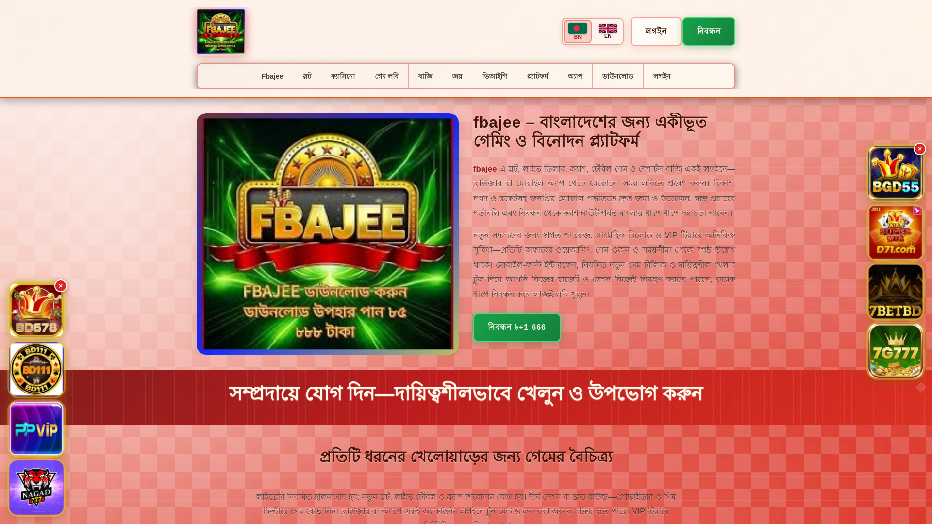 website screenshot of https://fbajeetin.com/