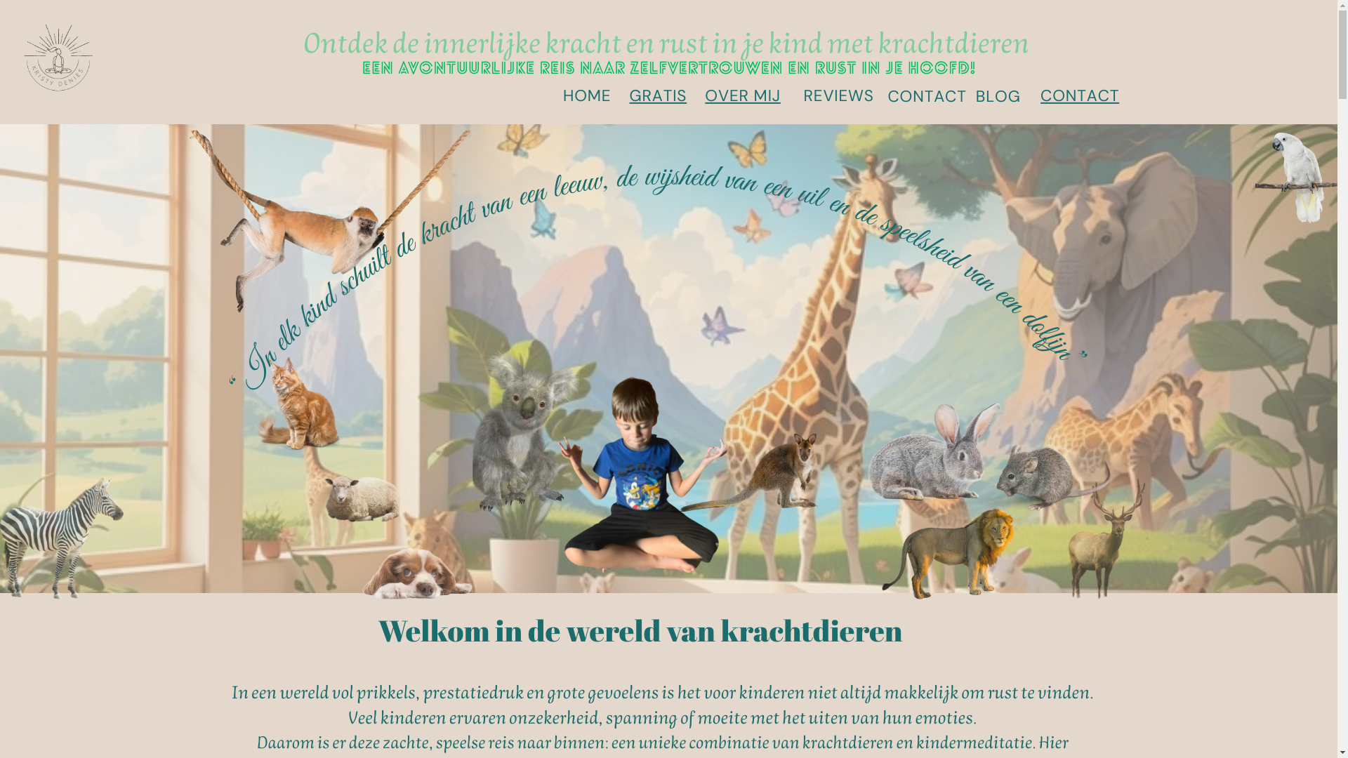 website screenshot of https://kinderontdekkingspad.com/