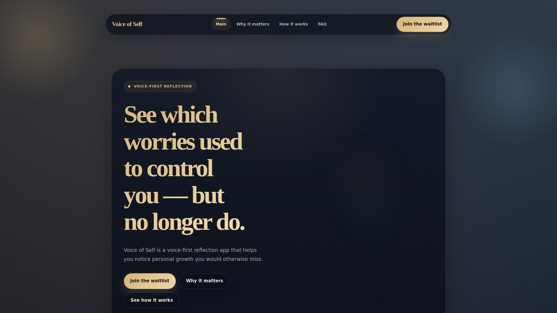 website screenshot of https://voiceofself.life/
