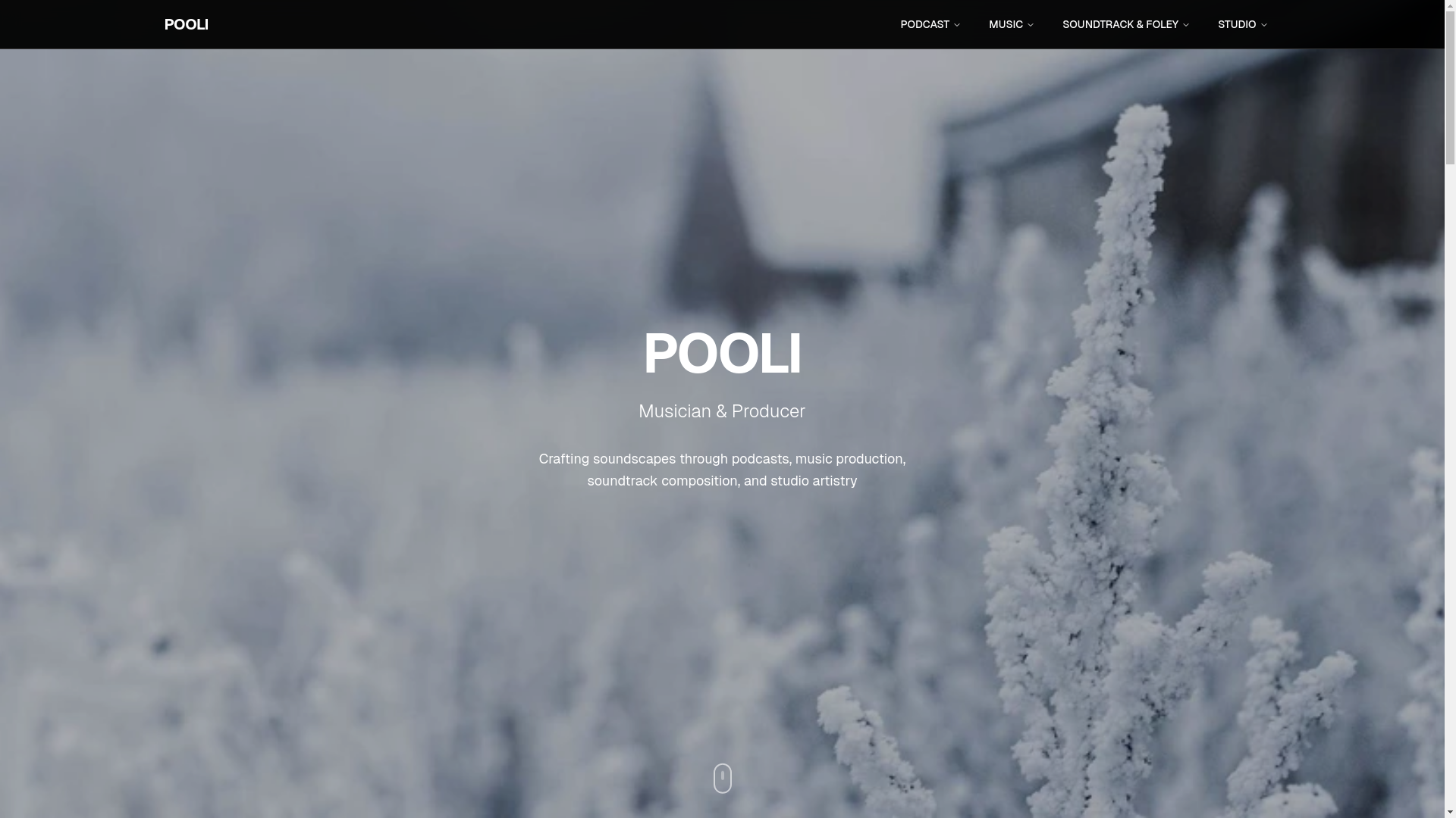 website screenshot of https://pooliproduction.com/