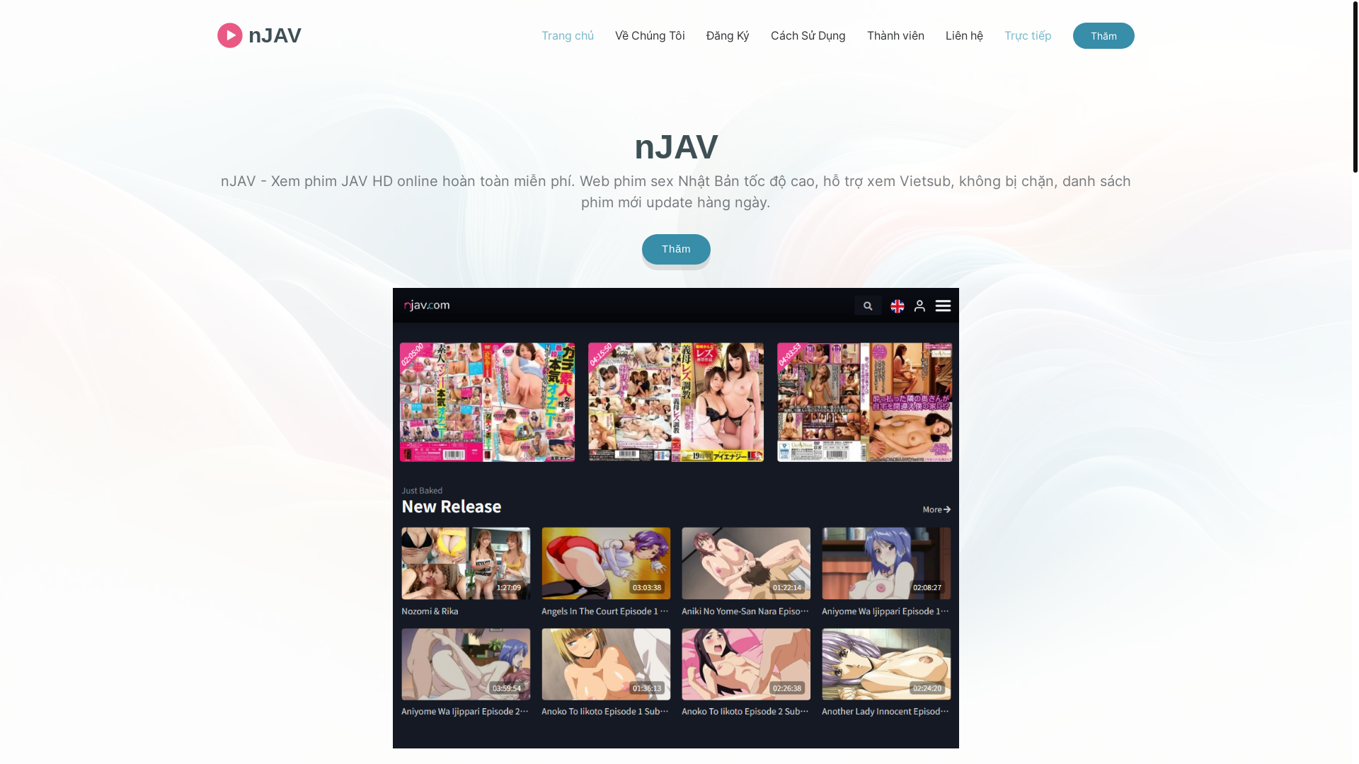 website screenshot of https://vietnam-njav.com/