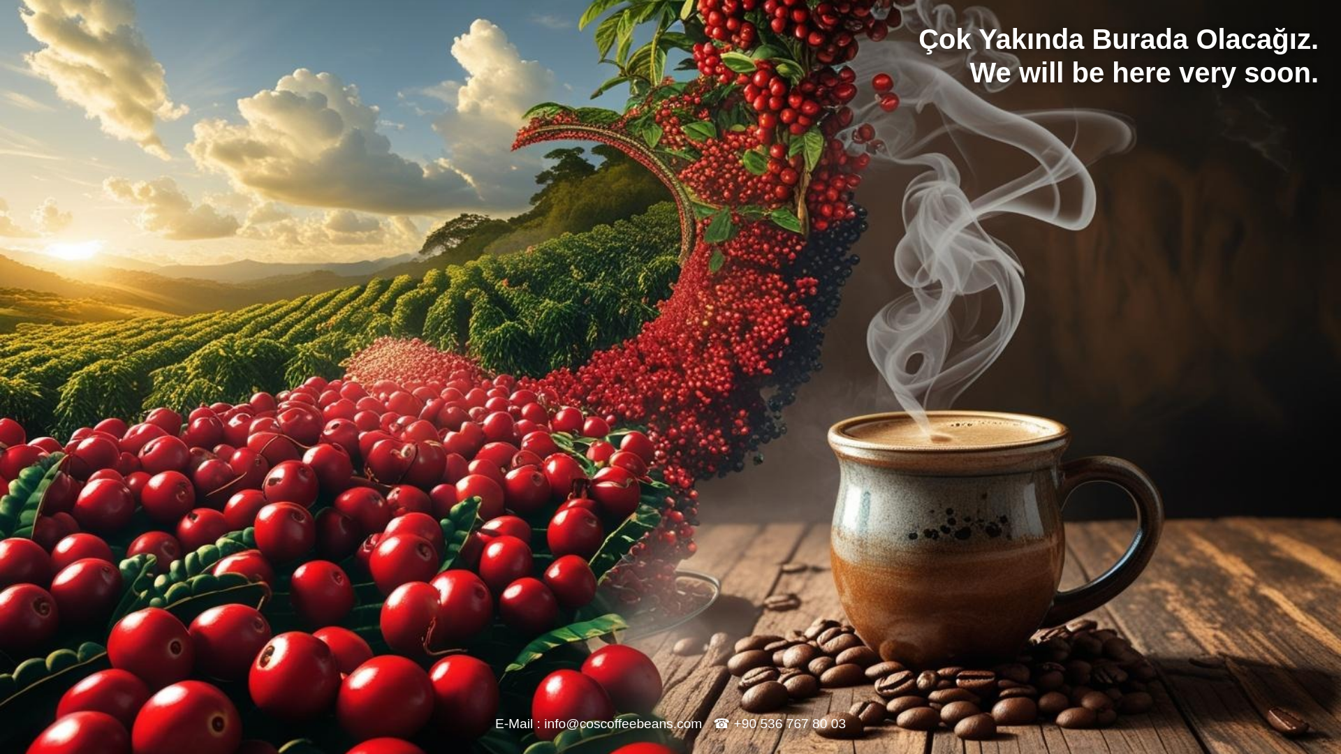 website screenshot of https://coscoffeebeans.pages.dev/