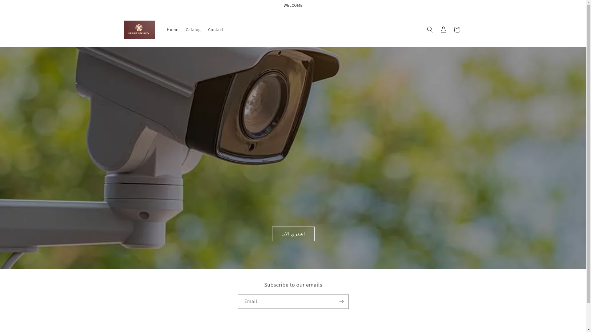website screenshot of https://drariasecurity.store/