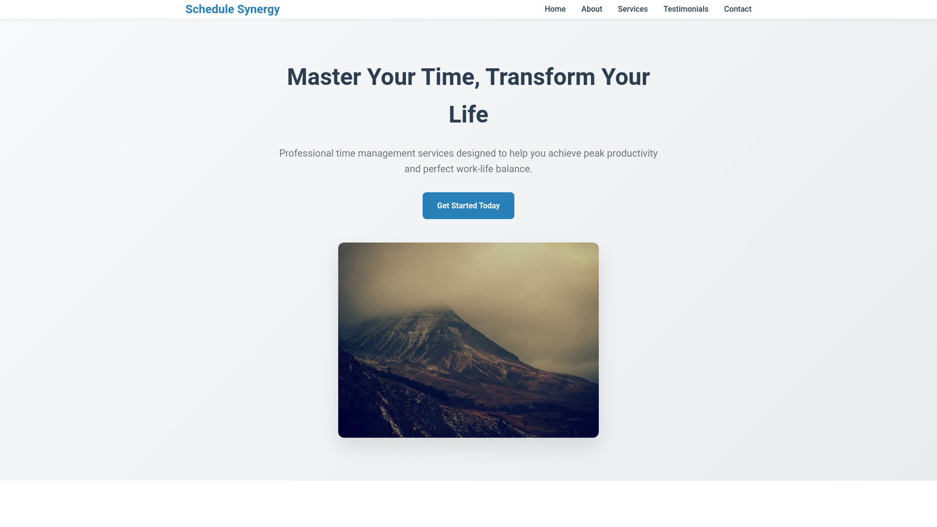 website screenshot of https://schedulesynergy.click/