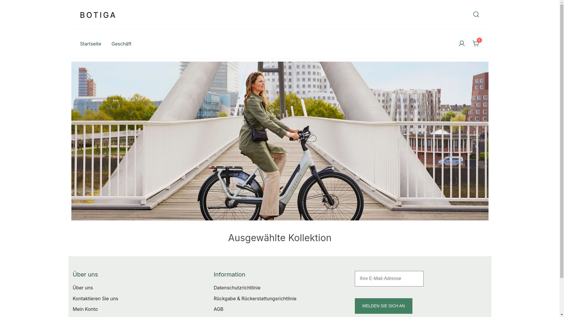 website screenshot of https://lichterauto.com/