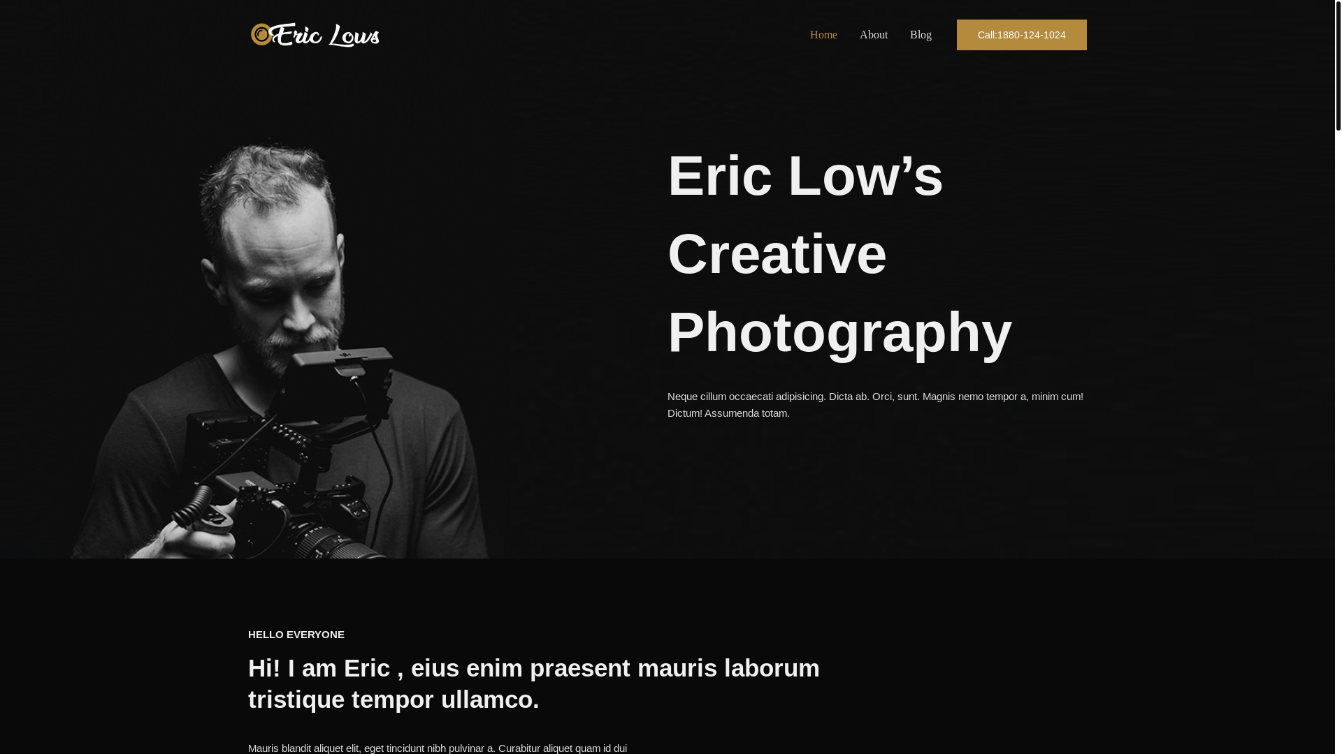 website screenshot of https://gustavofragalandini.com.br/