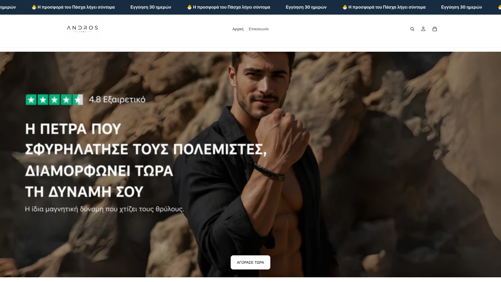 website screenshot of https://andros-lab.com/