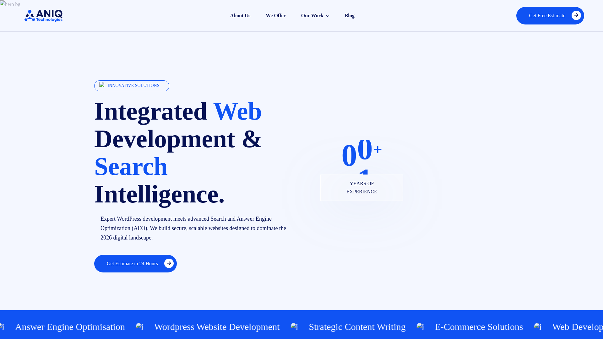 website screenshot of https://aniqtechnologies.com