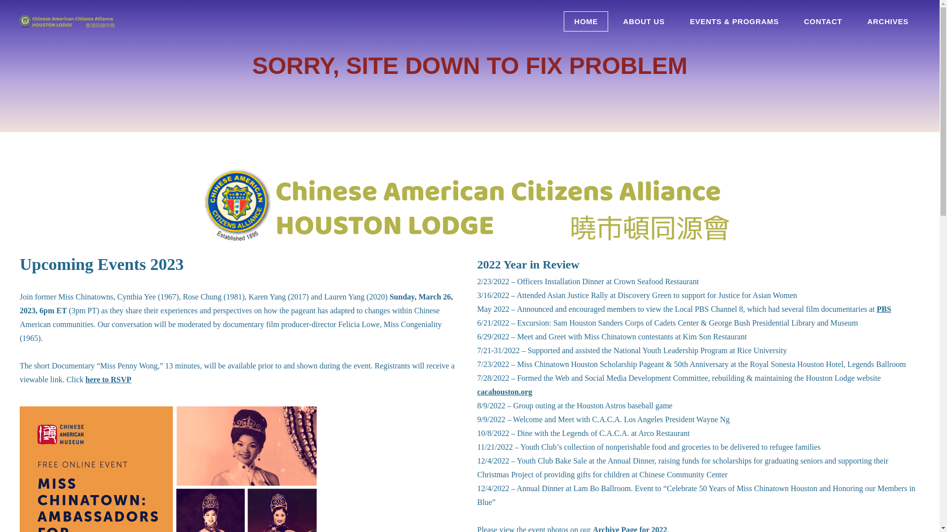 website screenshot of https://cacahouston.net/