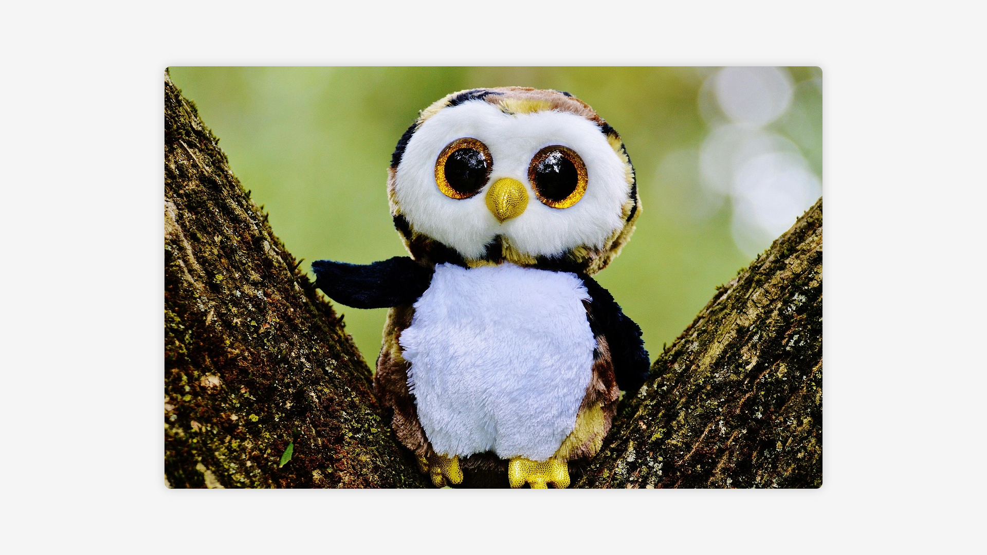 website screenshot of https://feathernight.com/