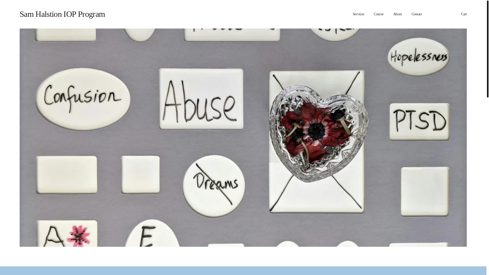 website screenshot of https://counselingthecounseled.com/