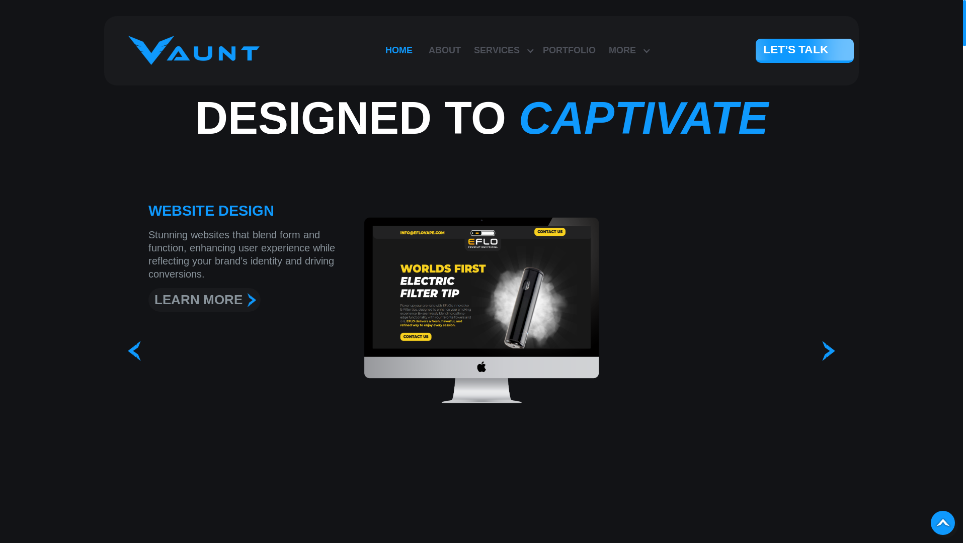 website screenshot of https://vauntpro.com/