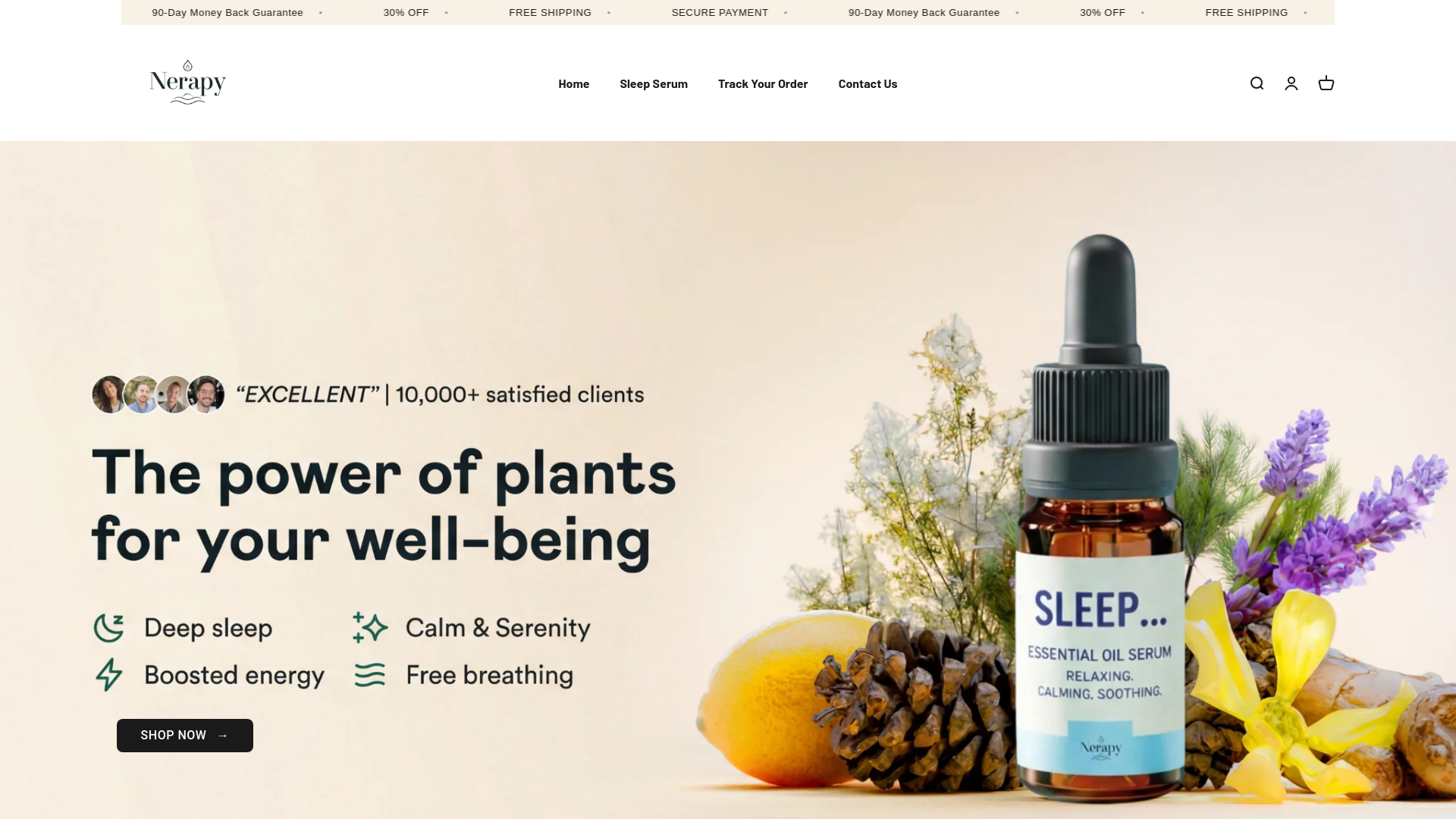 website screenshot of https://nerapy-store.com/