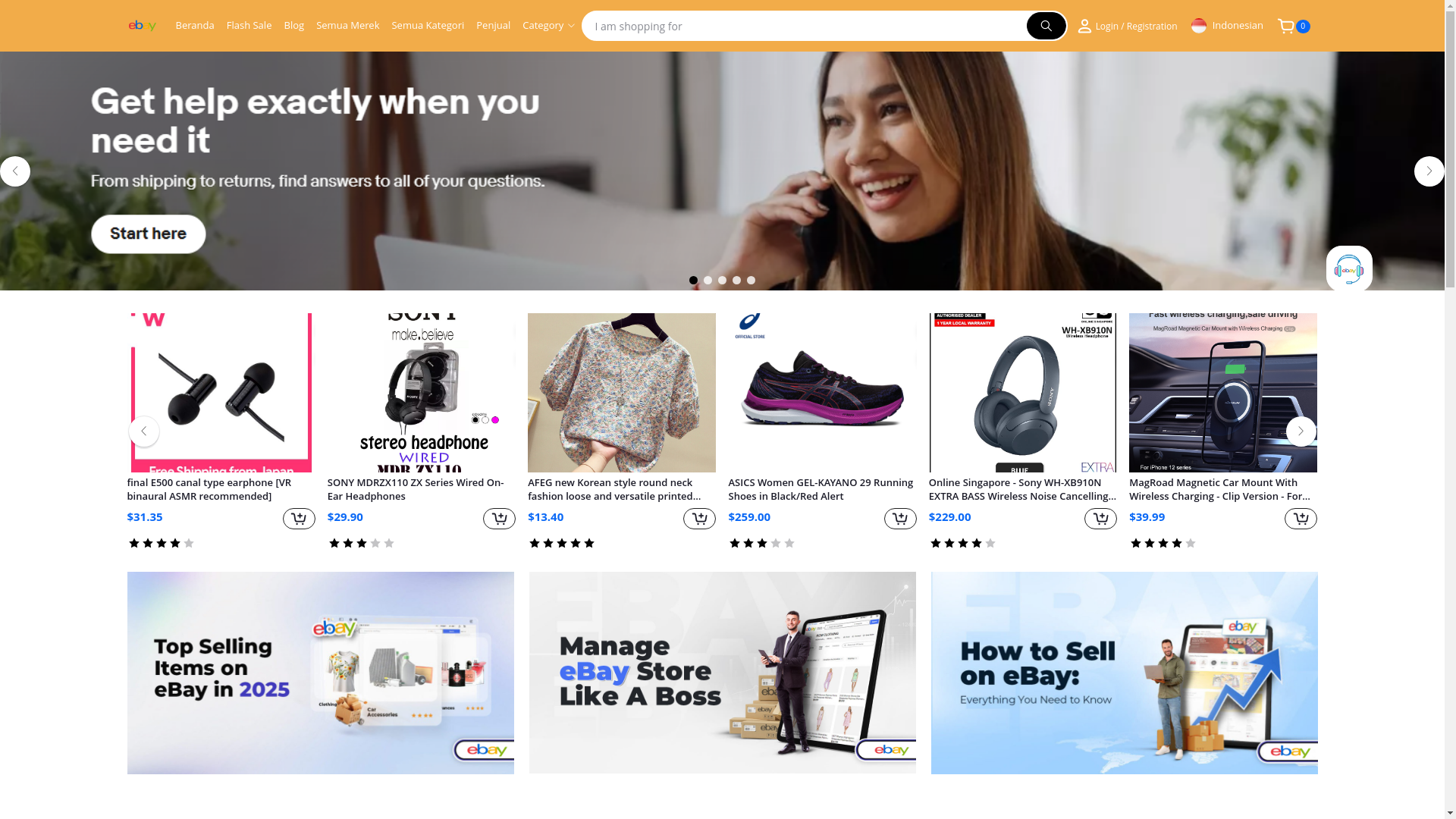 website screenshot of https://seller-ebay.org/
