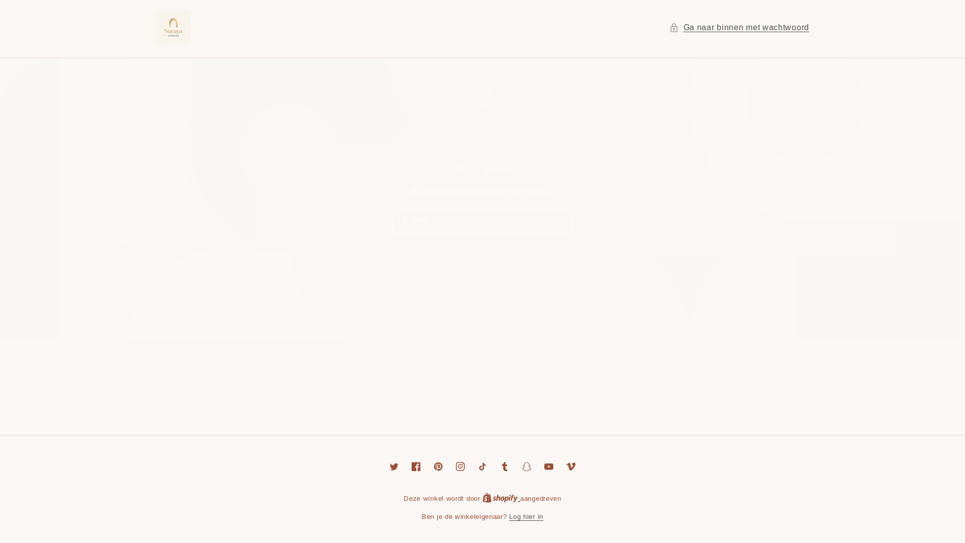 website screenshot of https://nurayacanvas.com/