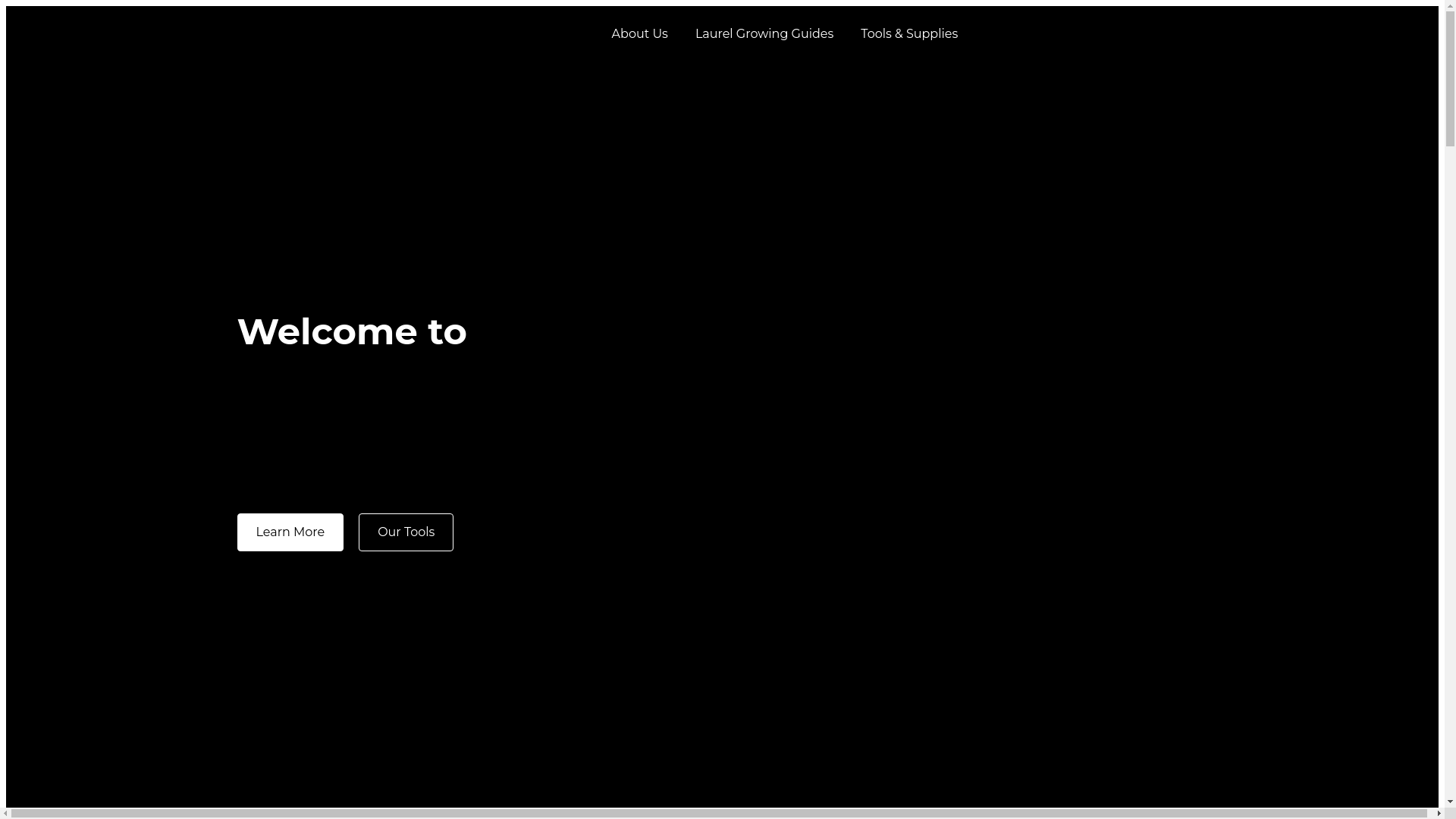 website screenshot of https://horplaventure.store/