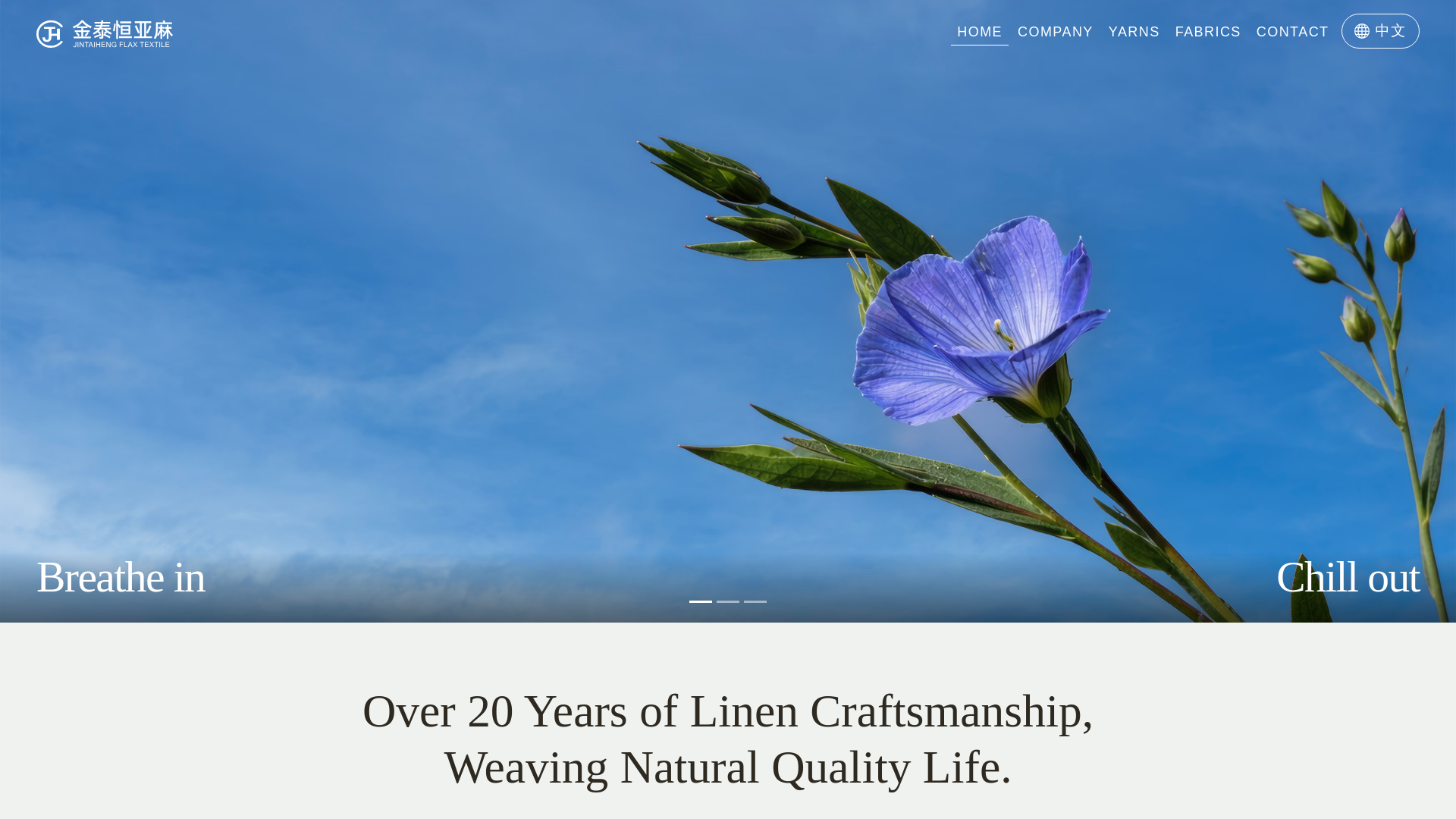 website screenshot of https://china-jth.com/