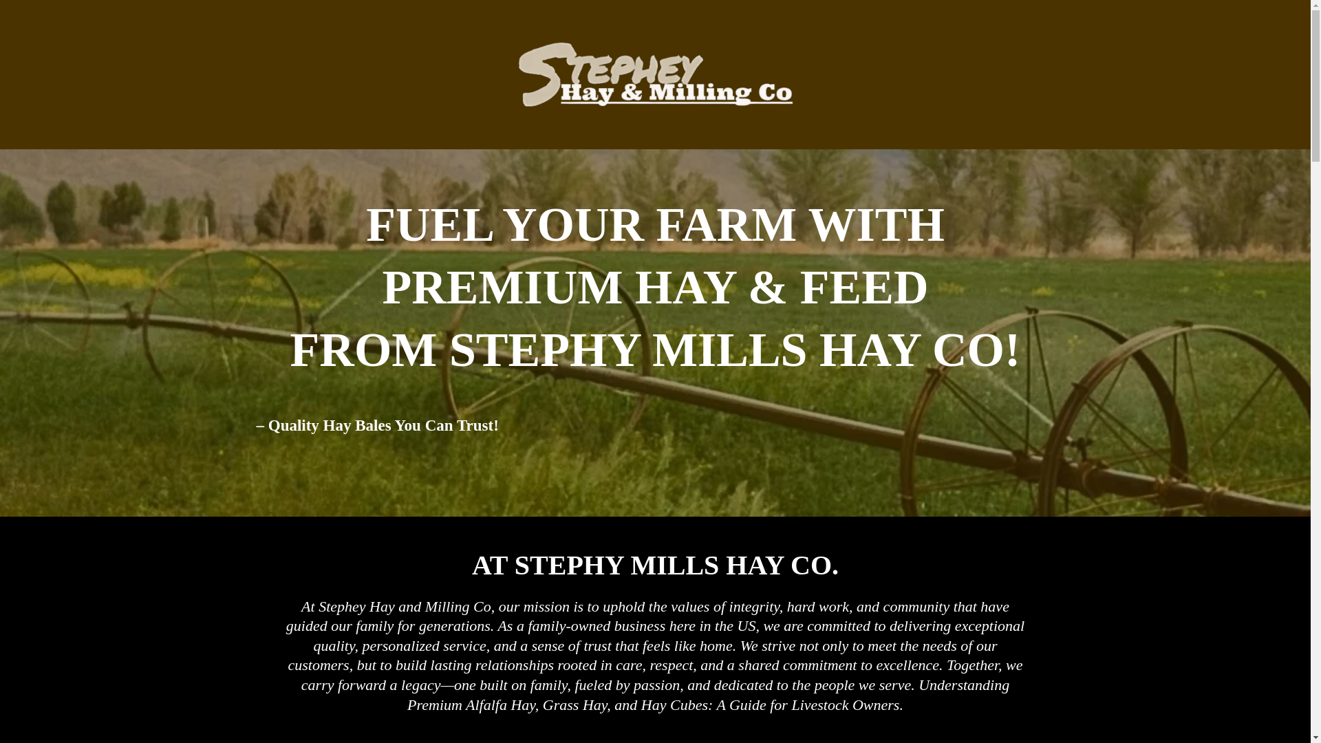 website screenshot of https://stepheyhayco.com/