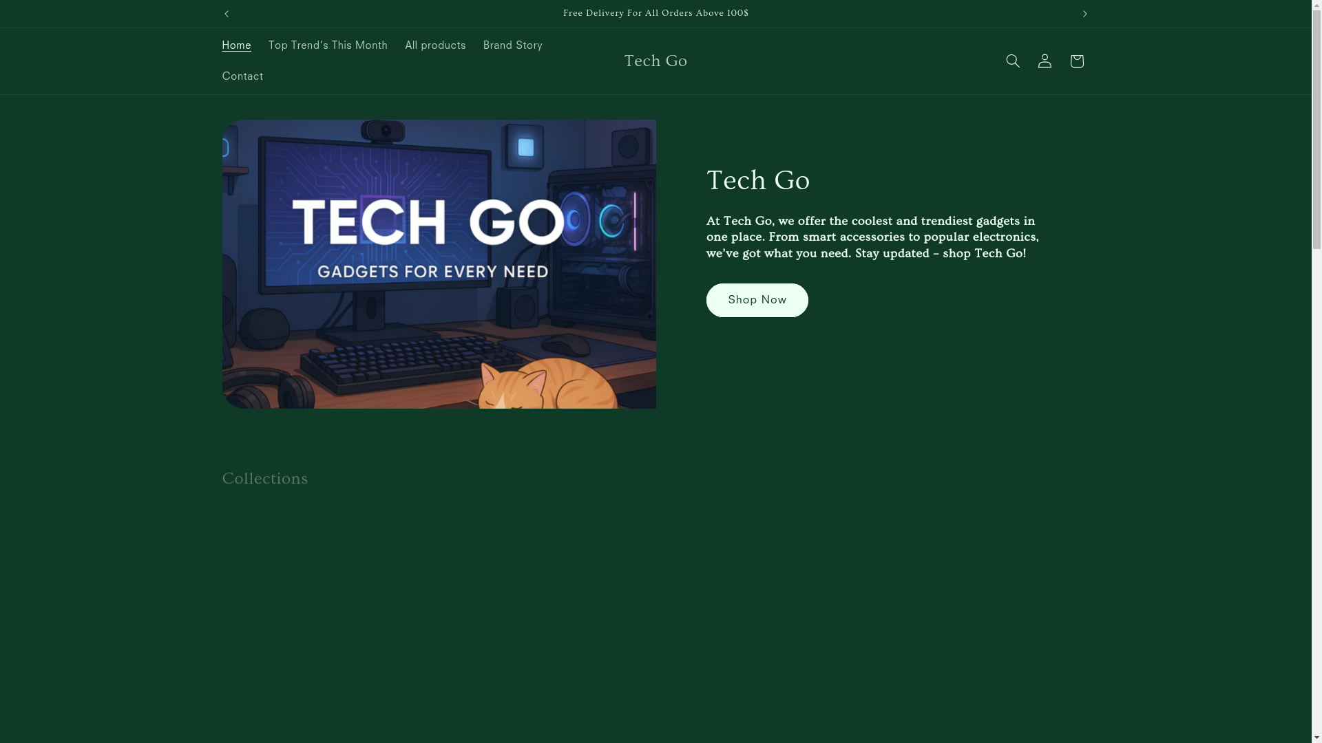 website screenshot of https://tecgo.store/