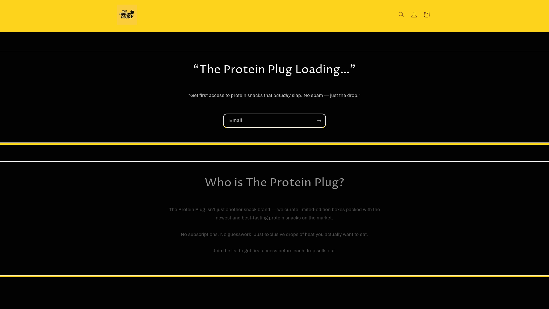 website screenshot of https://theproteinplug.co/