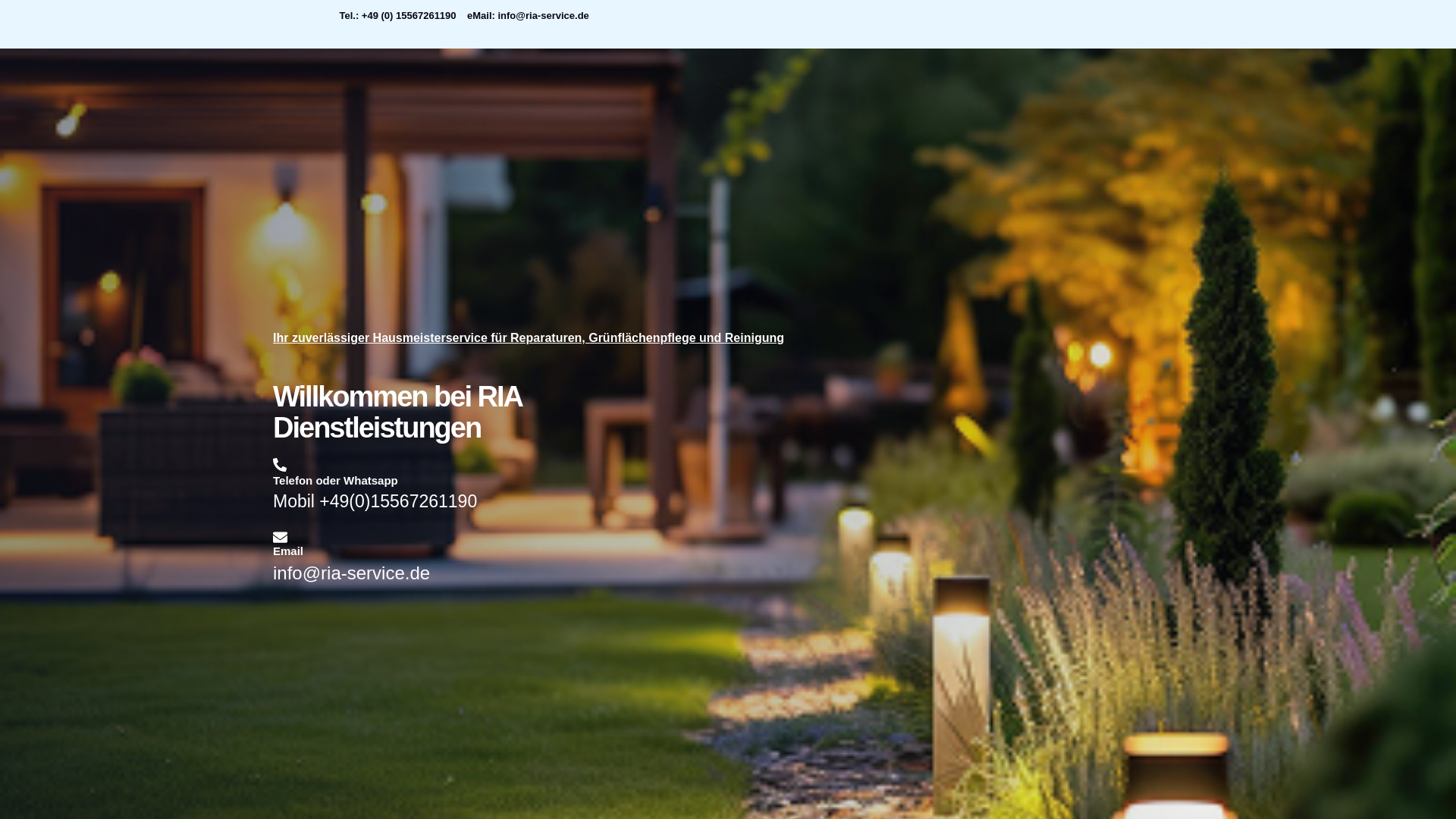 website screenshot of https://ria-service.de/